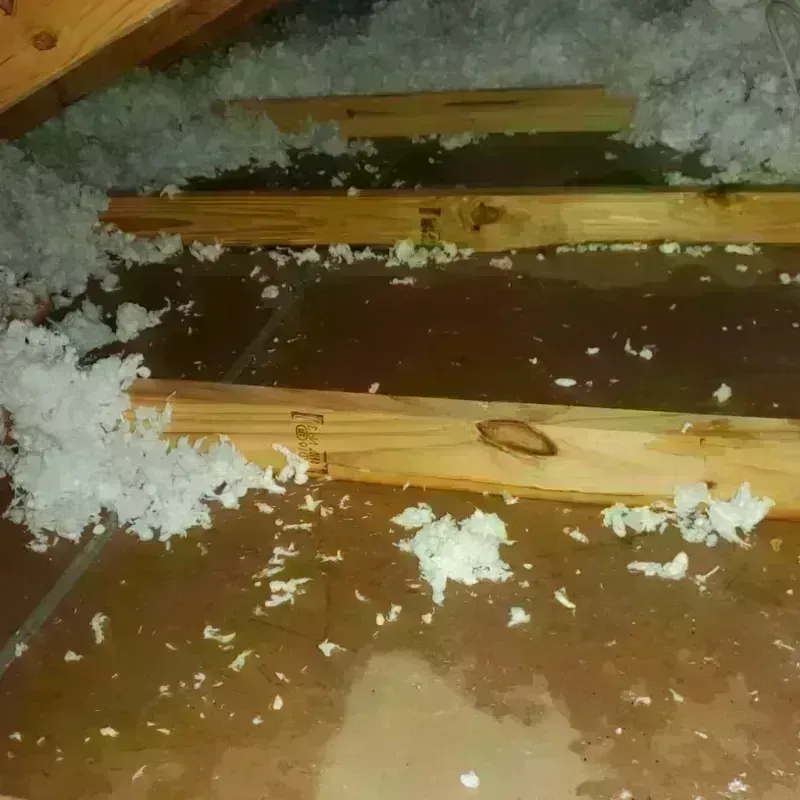 Attic Water Damage in Mount Carmel, PA